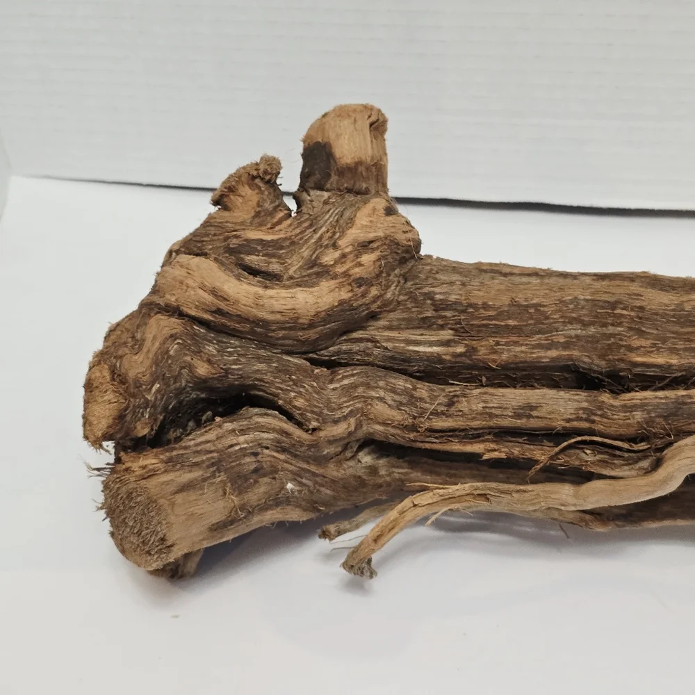 All Living Things Reptile Driftwood